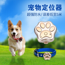 宠物定位器 科技守护外出宠物的安全新选择