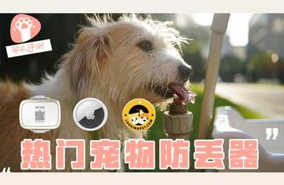 宠物定位器 养猫遛狗无忧的神器