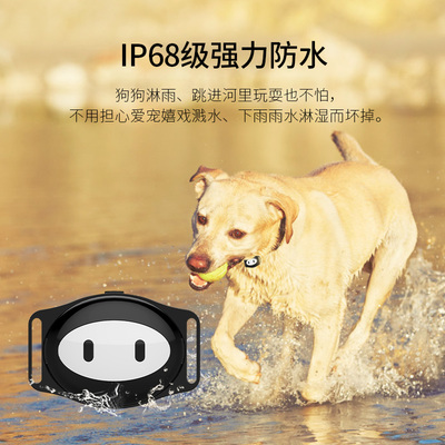 真匠宠物定位器评测 猎犬GPS追踪器，迷你防水项圈守护爱宠安全