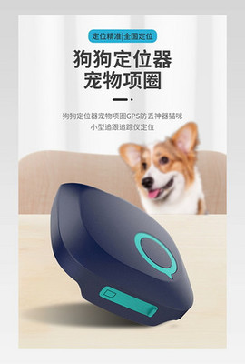 宠物安全新时代 90设计宠物定位器下载与使用全指南