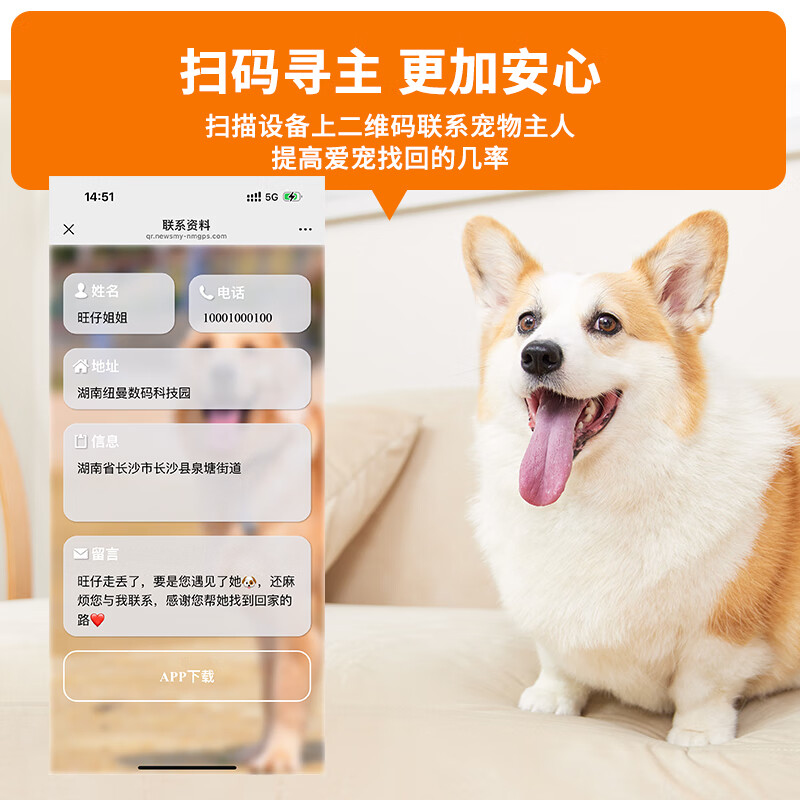 让爱宠不迷路，守护从“纽曼”开始 —— Newsmy纽曼宠物GPS定位器深度体验