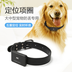 宠物防丢器与宠物定位器 守护毛孩的安全指南
