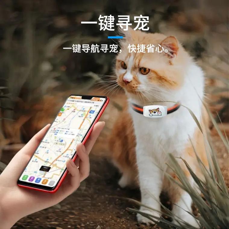 广州4G宠物定位追踪器 全天候守护，随时掌管爱宠行踪