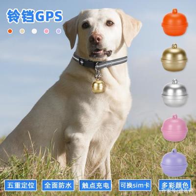 宠物定位器的使用方法与操作指南