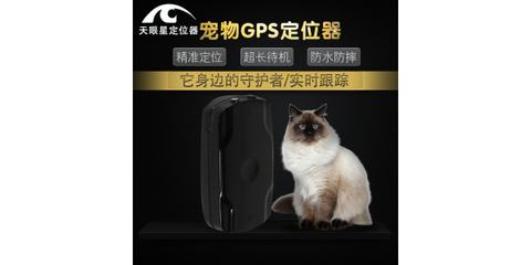 迷你定位器 守护宠物安全的智能伴侣