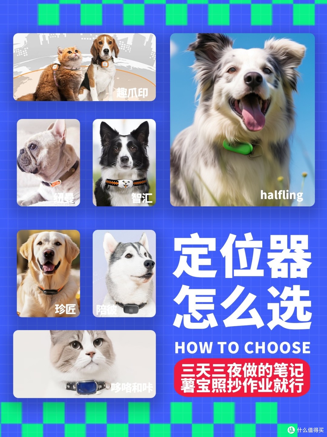 宠物狗狗定位器选购指南 如何挑选适合爱宠的定位器