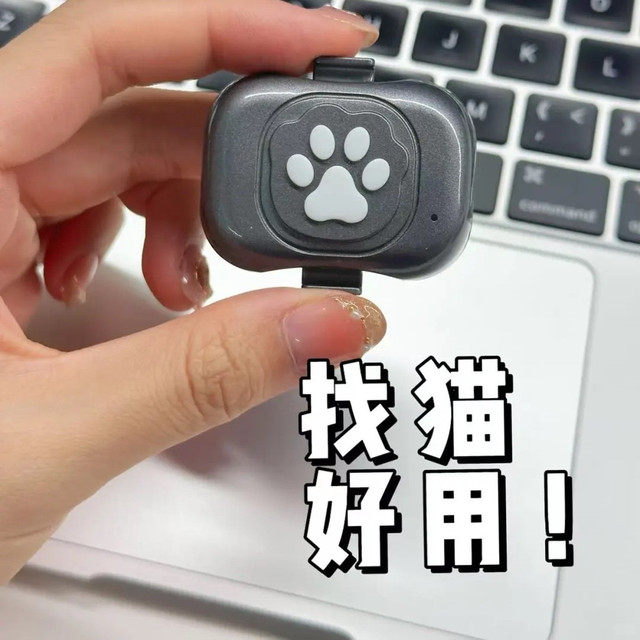 宠物定位器真有用 科技为爱宠撑起“安全网”