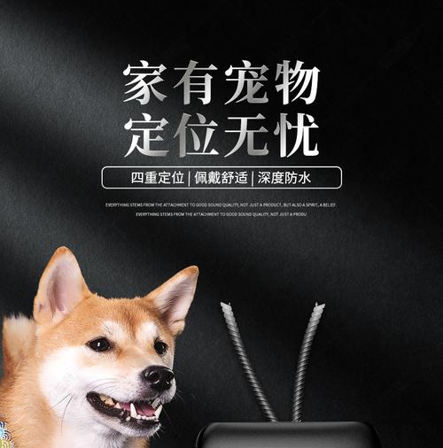大气简约智能宠物定位器防丢器防走丢铃铛狗狗防丢神器gps定位详情页